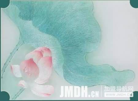 1578882830690918.jpg 6.jpg