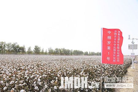 1661306079561531.jpg 4.jpg