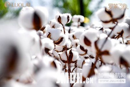 1664154153164125.jpg 6.jpg