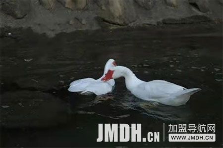 1670379649398147.jpg 2.jpg